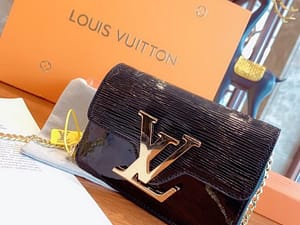 Louis Vuitton 101(Ladies Handbag)