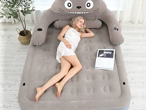 (Send air pump) inflatable mattress home